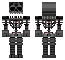 skin