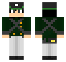 skin