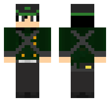 skin