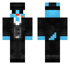 skin