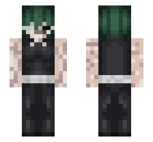 skin
