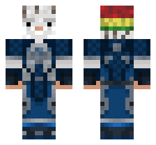 skin