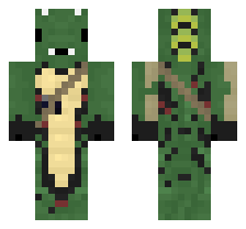 skin