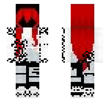 skin
