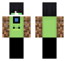 skin