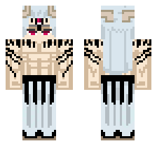 skin