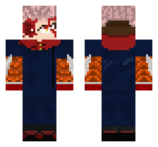 skin