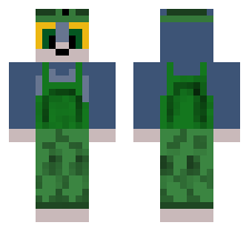 skin