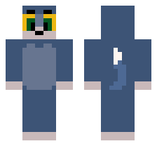 skin
