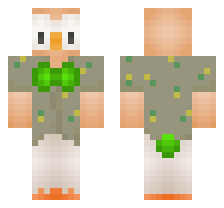 skin