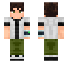 skin