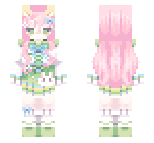 skin