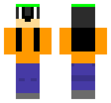 skin
