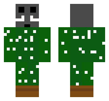 skin