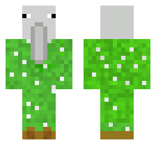 skin