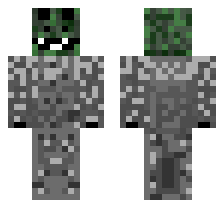 skin