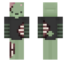 skin