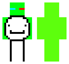 skin