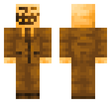 skin