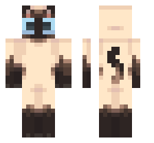 skin