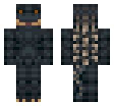 skin