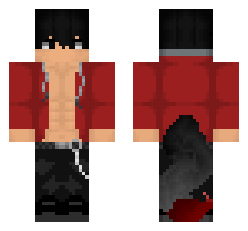 skin