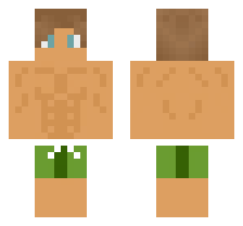 skin
