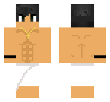 skin