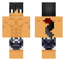 skin