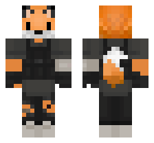 skin