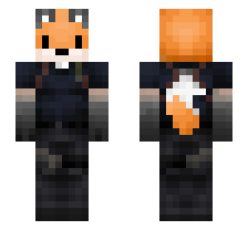 skin