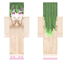 skin