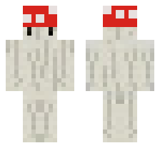 skin