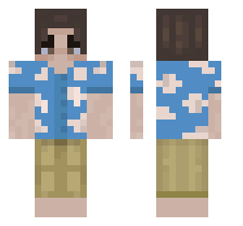 skin