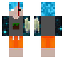 skin