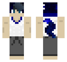 skin