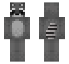skin