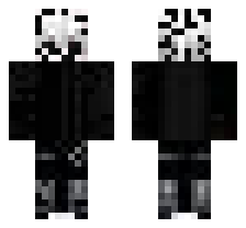 skin