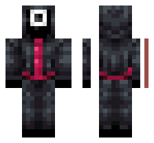 skin