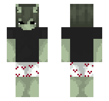 skin