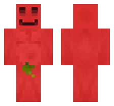 skin
