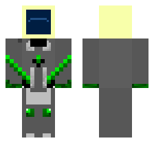 skin