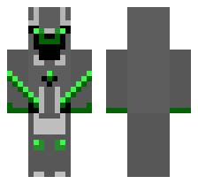 skin