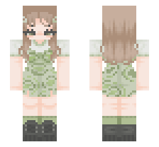 skin