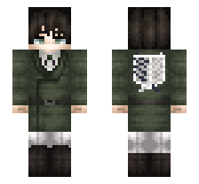 skin