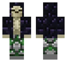skin