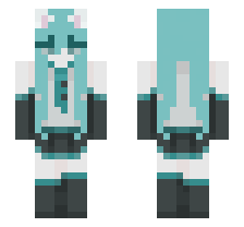 skin