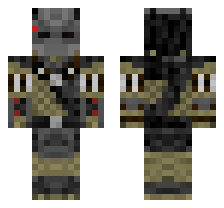 skin