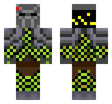 skin