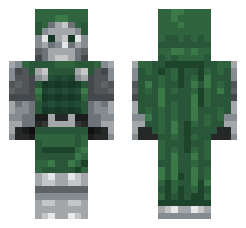 skin